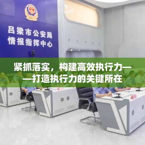 紧抓落实，构建高效执行力——打造执行力的关键所在