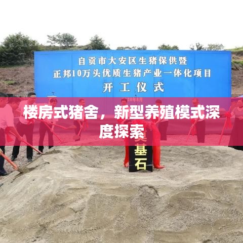 楼房式猪舍，新型养殖模式深度探索