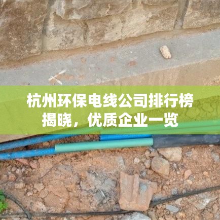 杭州环保电线公司排行榜揭晓，优质企业一览