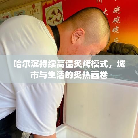哈尔滨持续高温炙烤模式，城市与生活的炙热画卷