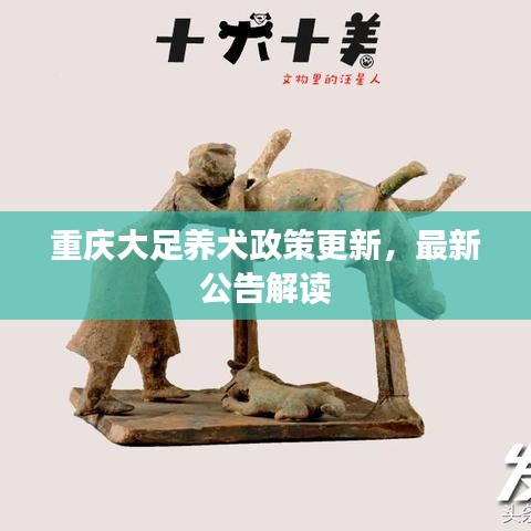 重庆大足养犬政策更新，最新公告解读