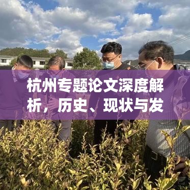 杭州专题论文深度解析，历史、现状与发展战略