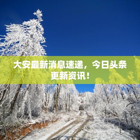 大安最新消息速递，今日头条更新资讯！