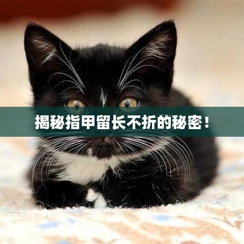 揭秘指甲留长不折的秘密！
