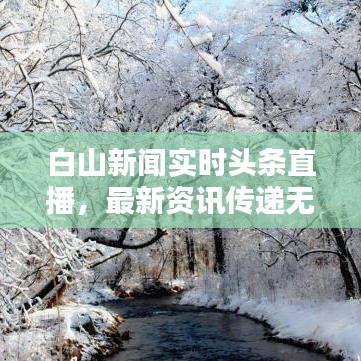 白山新闻实时头条直播，最新资讯传递无延迟