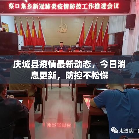 庆城县疫情最新动态，今日消息更新，防控不松懈