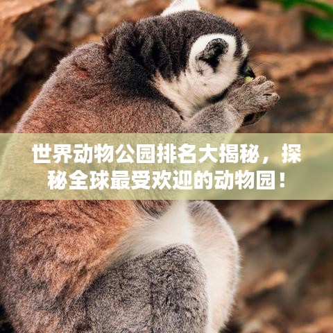 世界动物公园排名大揭秘，探秘全球最受欢迎的动物园！