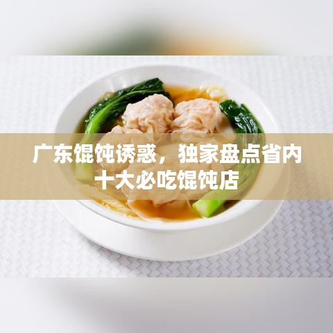 广东馄饨诱惑，独家盘点省内十大必吃馄饨店