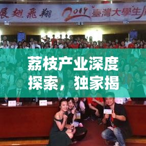 荔枝产业深度探索，独家揭秘荔枝产业的独特魅力