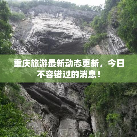 重庆旅游最新动态更新，今日不容错过的消息！