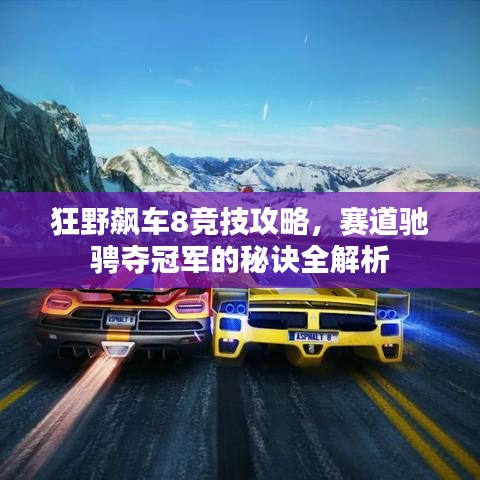 狂野飙车8竞技攻略，赛道驰骋夺冠军的秘诀全解析