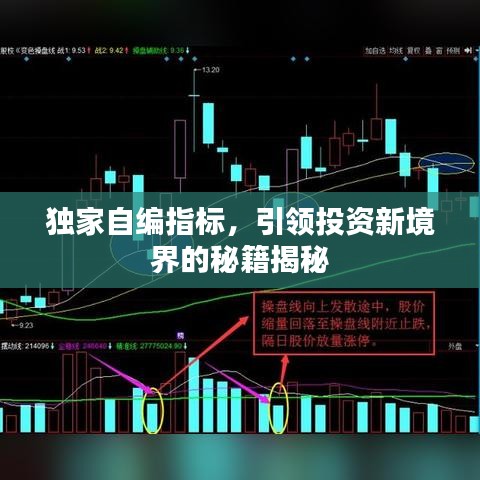 独家自编指标，引领投资新境界的秘籍揭秘