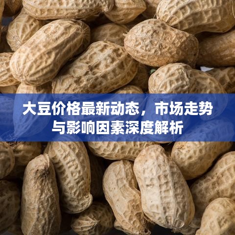 大豆价格最新动态，市场走势与影响因素深度解析