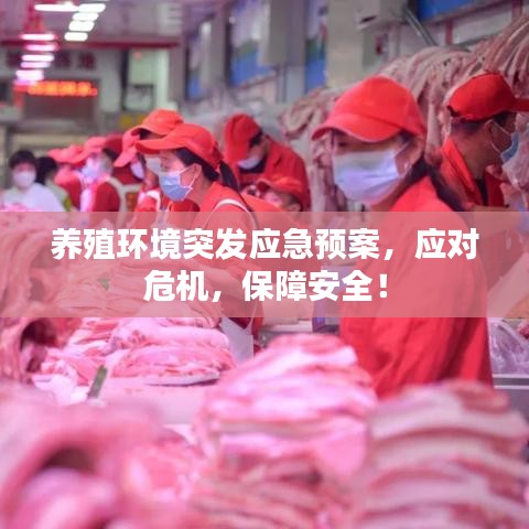 养殖环境突发应急预案，应对危机，保障安全！