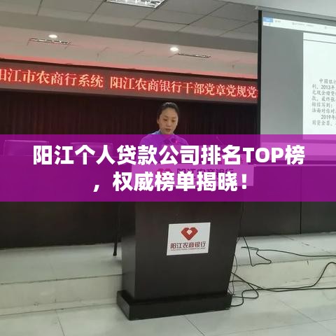 阳江个人贷款公司排名TOP榜，权威榜单揭晓！