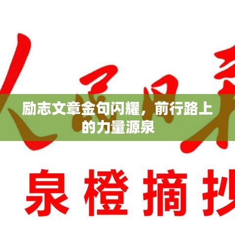 励志文章金句闪耀，前行路上的力量源泉