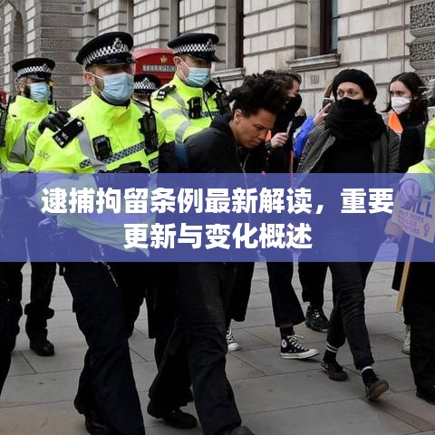 逮捕拘留条例最新解读，重要更新与变化概述