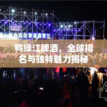 鸭绿江啤酒，全球排名与独特魅力揭秘
