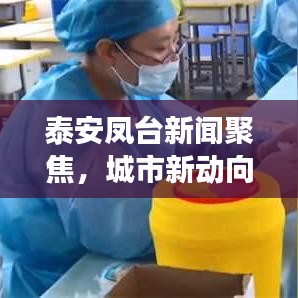 泰安凤台新闻聚焦，城市新动向与发展亮点揭秘