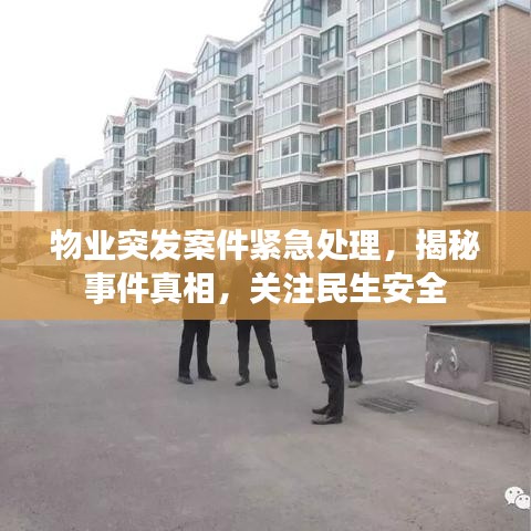 物业突发案件紧急处理，揭秘事件真相，关注民生安全