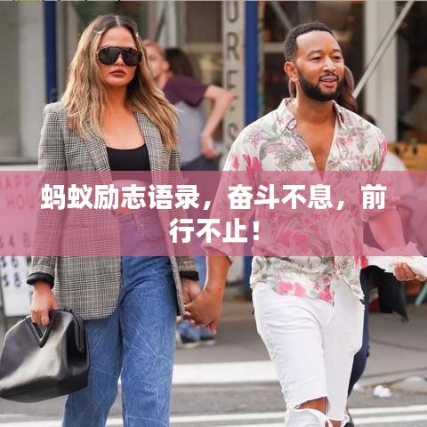 蚂蚁励志语录，奋斗不息，前行不止！
