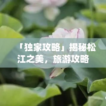 「独家攻略」揭秘松江之美，旅游攻略图助你畅游胜地！