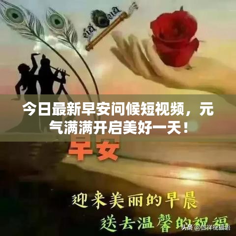 今日最新早安问候短视频，元气满满开启美好一天！