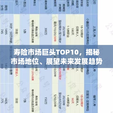 寿险市场巨头TOP10，揭秘市场地位、展望未来发展趋势