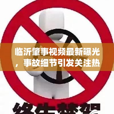临沂肇事视频最新曝光，事故细节引发关注热议