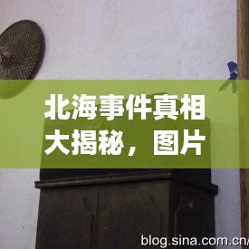 北海事件真相大揭秘，图片证据曝光！