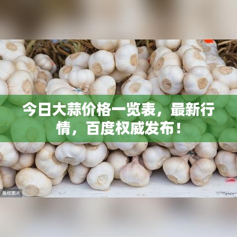 今日大蒜价格一览表，最新行情，百度权威发布！