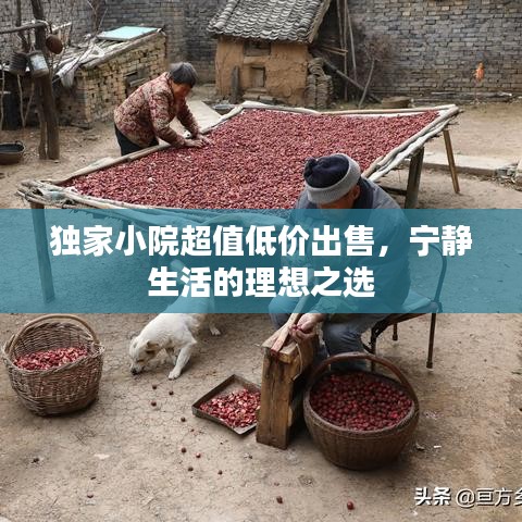 独家小院超值低价出售，宁静生活的理想之选