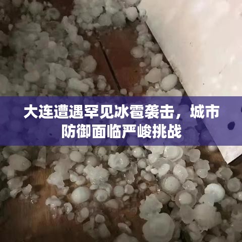 大连遭遇罕见冰雹袭击，城市防御面临严峻挑战