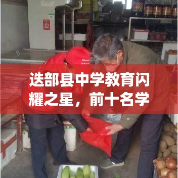 迭部县中学教育闪耀之星，前十名学校的辉煌成就