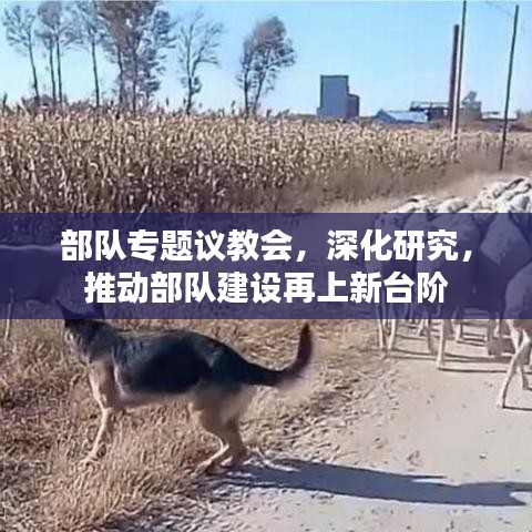 部队专题议教会，深化研究，推动部队建设再上新台阶