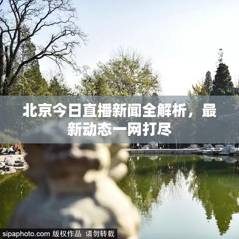 北京今日直播新闻全解析，最新动态一网打尽