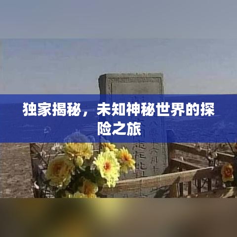 独家揭秘，未知神秘世界的探险之旅