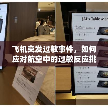 飞机突发过敏事件，如何应对航空中的过敏反应挑战