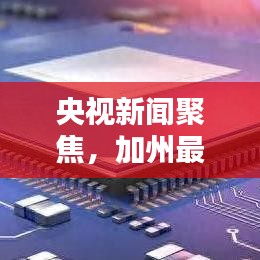 央视新闻聚焦，加州最新动态速递