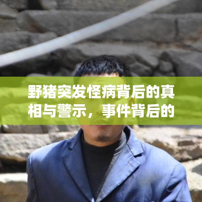 野猪突发怪病背后的真相与警示，事件背后的深度剖析视频热议中