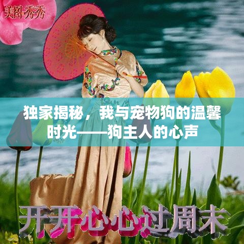 独家揭秘，我与宠物狗的温馨时光——狗主人的心声