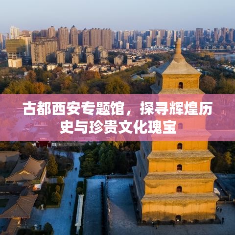 古都西安专题馆，探寻辉煌历史与珍贵文化瑰宝
