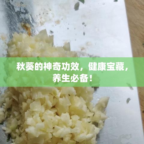 秋葵的神奇功效，健康宝藏，养生必备！