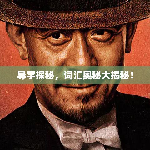 导字探秘，词汇奥秘大揭秘！