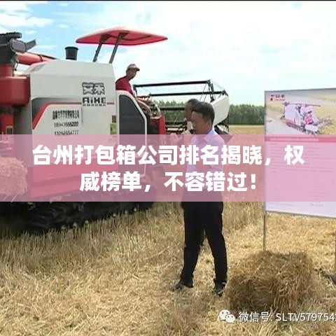 台州打包箱公司排名揭晓，权威榜单，不容错过！