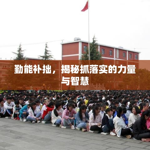 勤能补拙，揭秘抓落实的力量与智慧