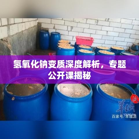 氢氧化钠变质深度解析，专题公开课揭秘