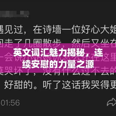 英文词汇魅力揭秘，连续安慰的力量之源