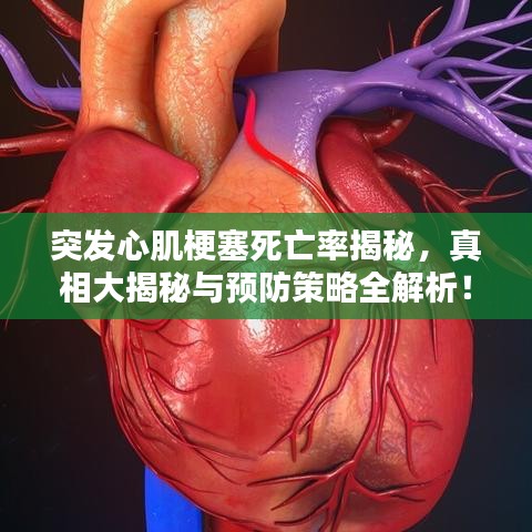 突发心肌梗塞死亡率揭秘，真相大揭秘与预防策略全解析！