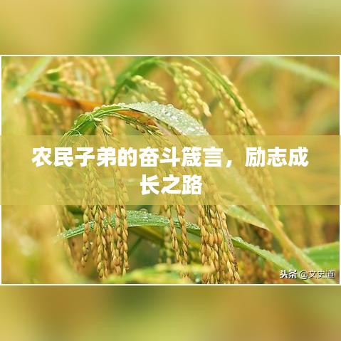 农民子弟的奋斗箴言，励志成长之路